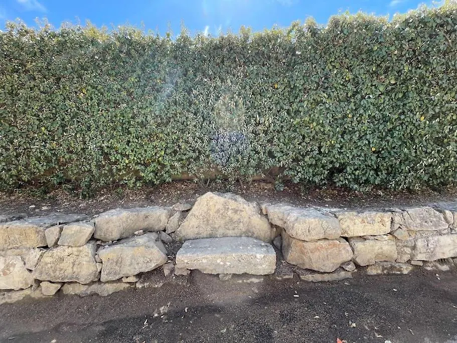 La Bastide Du Bas Peylon - Un Havre De Paix Dans Un Ecrin De Verdure Flayosc 0*,
